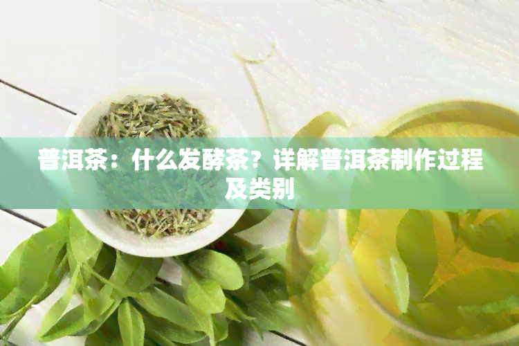 普洱茶：什么发酵茶？详解普洱茶制作过程及类别