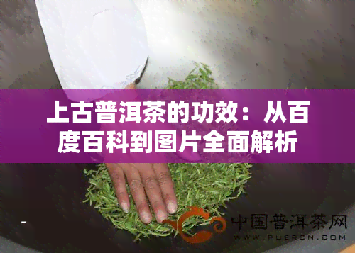 上古普洱茶的功效：从百度百科到图片全面解析