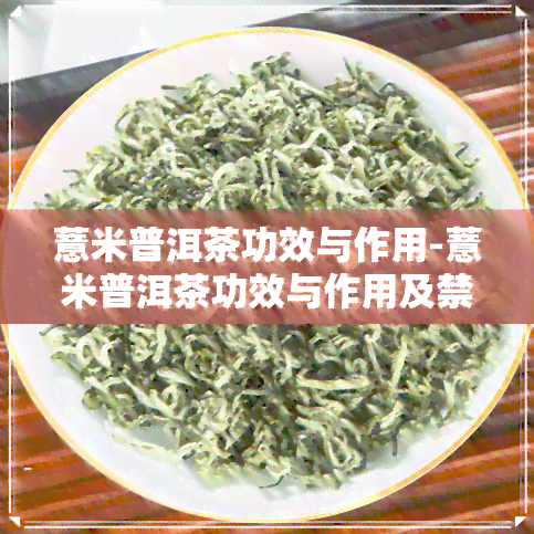 薏米普洱茶功效与作用-薏米普洱茶功效与作用及禁忌