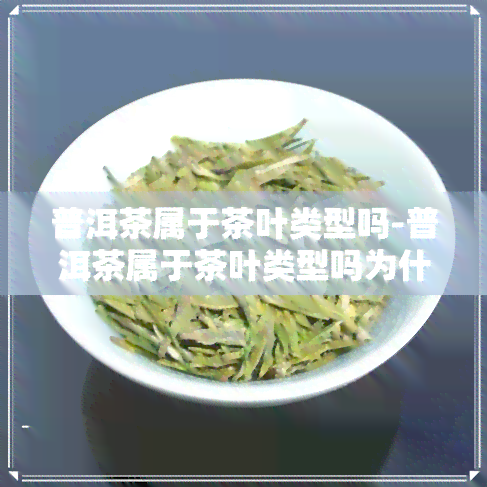 普洱茶属于茶叶类型吗-普洱茶属于茶叶类型吗为什么