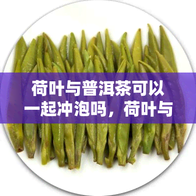 荷叶与普洱茶可以一起冲泡吗，荷叶与普洱茶能否共同冲泡？