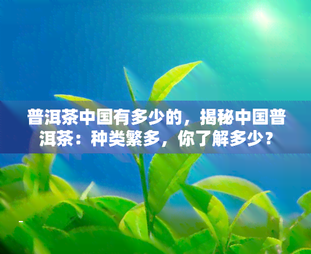 普洱茶中国有多少的，揭秘中国普洱茶：种类繁多，你了解多少？