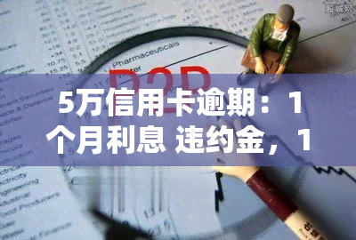 5万信用卡逾期：1个月利息 违约金，1年利息违约金全计算