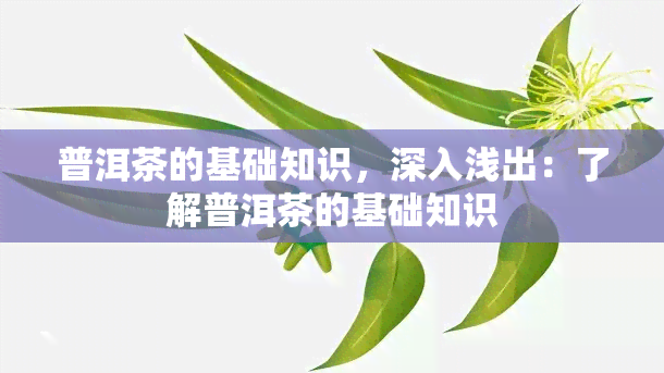 普洱茶的基础知识，深入浅出：了解普洱茶的基础知识