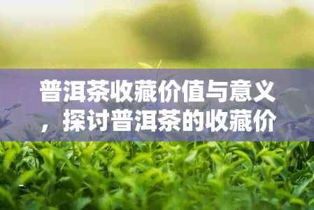 普洱茶收藏价值与意义，探讨普洱茶的收藏价值与深远意义