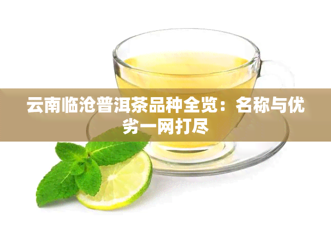 云南临沧普洱茶品种全览：名称与优劣一网打尽