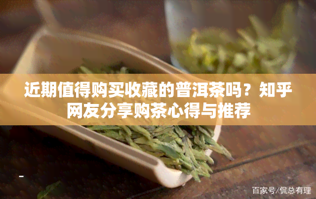 近期值得购买收藏的普洱茶吗？知乎网友分享购茶心得与推荐