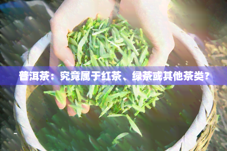 普洱茶：究竟属于红茶、绿茶或其他茶类？