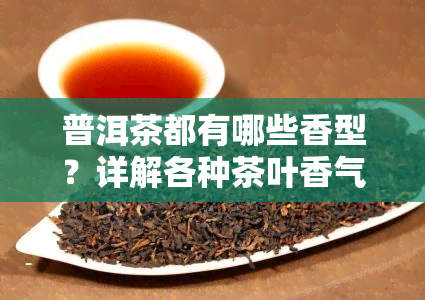 普洱茶都有哪些香型？详解各种茶叶香气特点