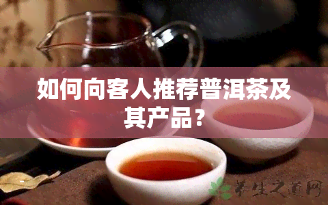 如何向客人推荐普洱茶及其产品？