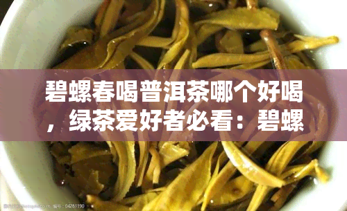 碧螺春喝普洱茶哪个好喝，绿茶爱好者必看：碧螺春与普洱茶，谁才是你的口粮茶？