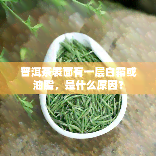 普洱茶表面有一层白霜或油脂，是什么原因？