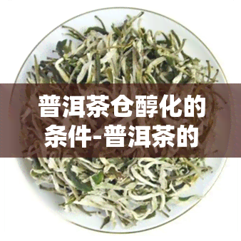 普洱茶仓醇化的条件-普洱茶的仓地区