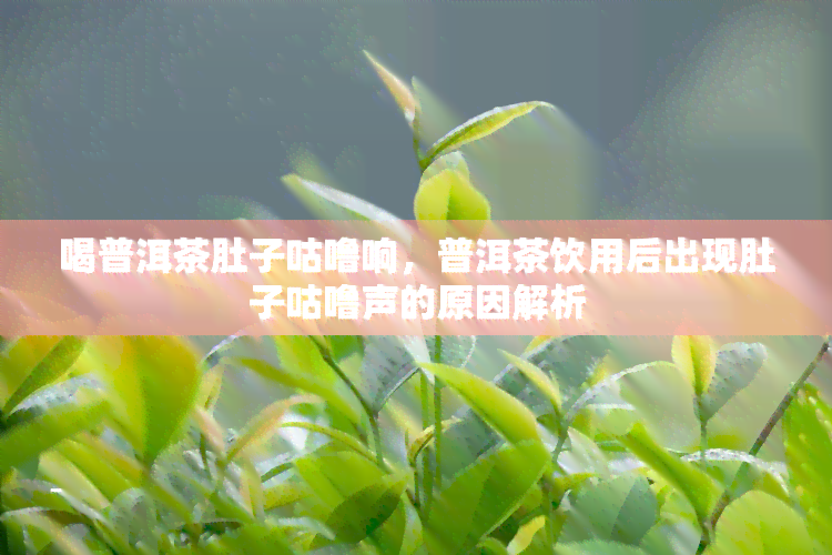 喝普洱茶肚子咕噜响，普洱茶饮用后出现肚子咕噜声的原因解析