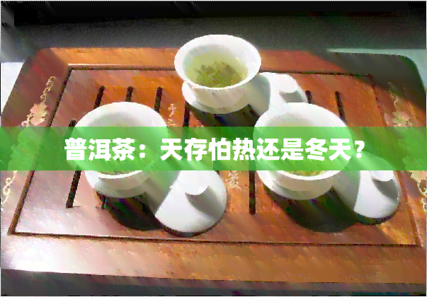 普洱茶：天存怕热还是冬天？