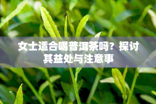 女士适合喝普洱茶吗？探讨其益处与注意事