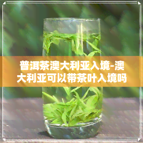 普洱茶澳大利亚入境-澳大利亚可以带茶叶入境吗