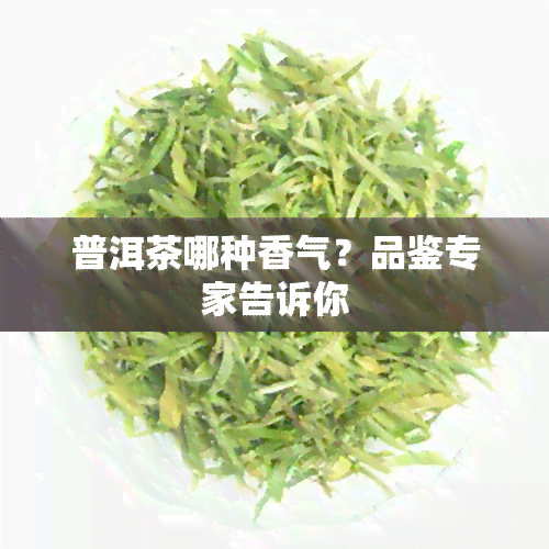 普洱茶哪种香气？品鉴专家告诉你