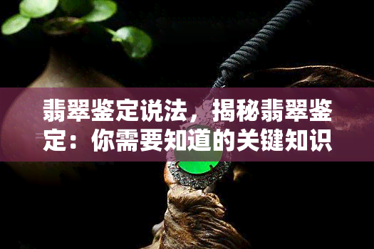 翡翠鉴定说法，揭秘翡翠鉴定：你需要知道的关键知识和技巧