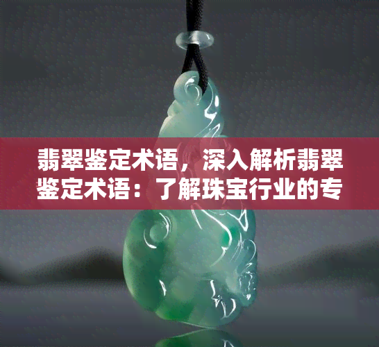 翡翠鉴定术语，深入解析翡翠鉴定术语：了解珠宝行业的专业语言