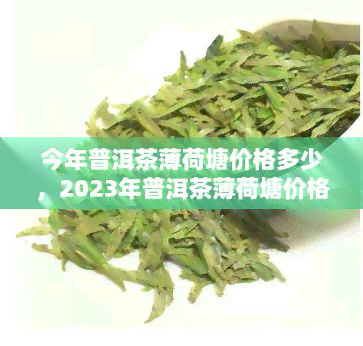 今年普洱茶薄荷塘价格多少，2023年普洱茶薄荷塘价格是多少？最新行情分析