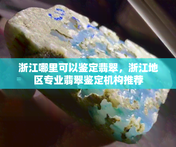 浙江哪里可以鉴定翡翠，浙江地区专业翡翠鉴定机构推荐