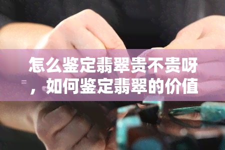 怎么鉴定翡翠贵不贵呀，如何鉴定翡翠的价值？一份详细的指南