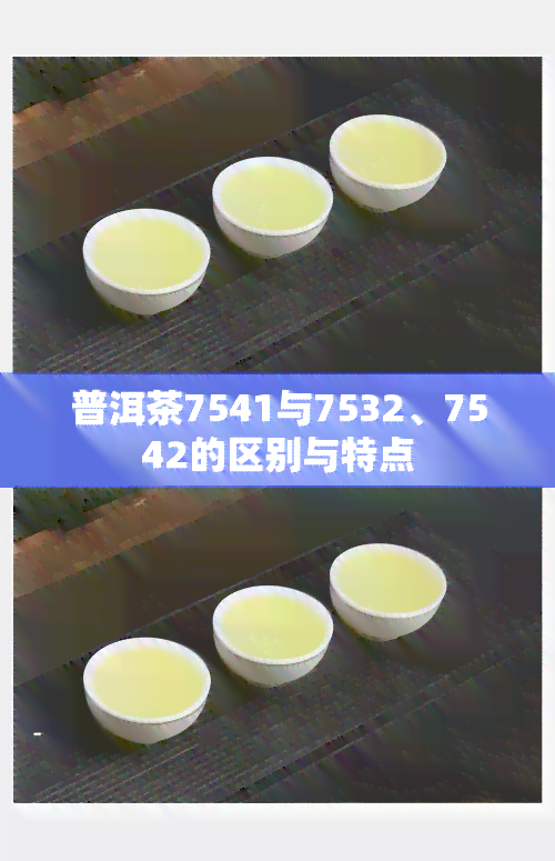 普洱茶7541与7532、7542的区别与特点