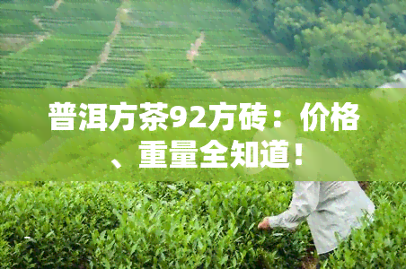 普洱方茶92方砖：价格、重量全知道！