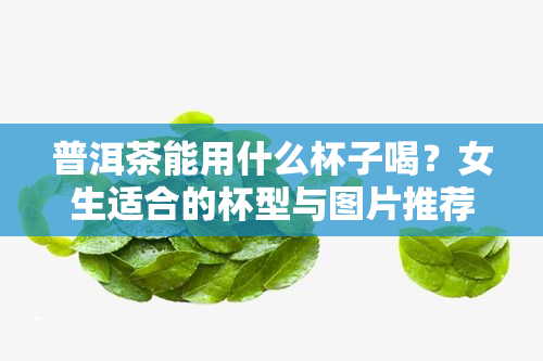 普洱茶能用什么杯子喝？女生适合的杯型与图片推荐