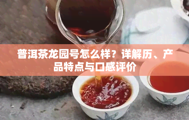 普洱茶龙园号怎么样？详解历、产品特点与口感评价