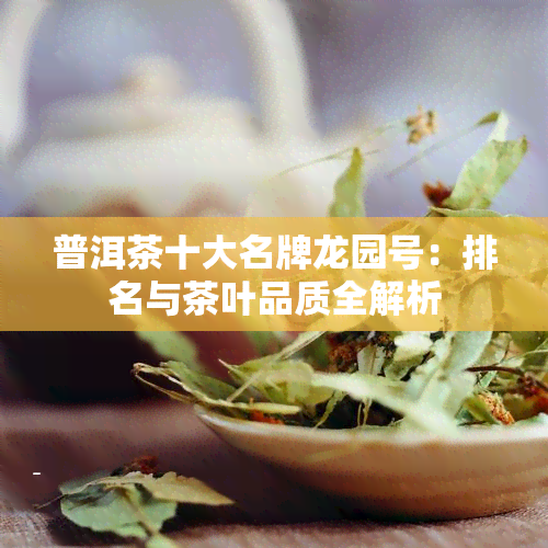 普洱茶十大名牌龙园号：排名与茶叶品质全解析