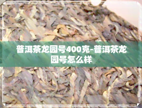 普洱茶龙园号400克-普洱茶龙园号怎么样