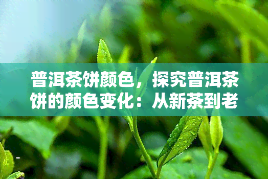 普洱茶饼颜色，探究普洱茶饼的颜色变化：从新茶到老茶的过程