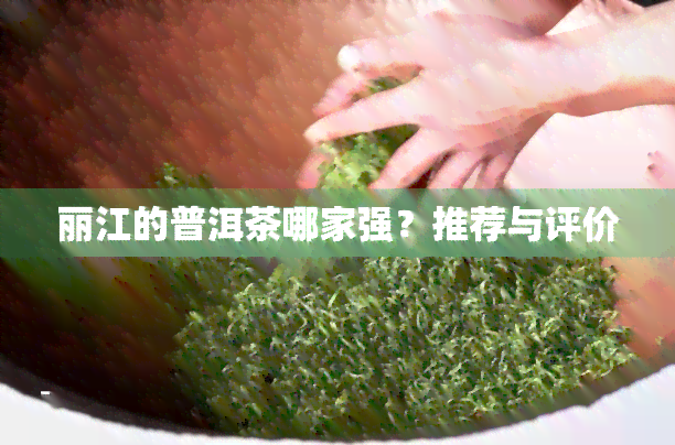 丽江的普洱茶哪家强？推荐与评价