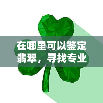 在哪里可以鉴定翡翠，寻找专业的翡翠鉴定机构：你的指南