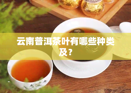 云南普洱茶叶有哪些种类及？