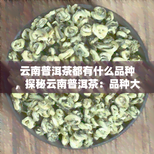 云南普洱茶都有什么品种，探秘云南普洱茶：品种大全