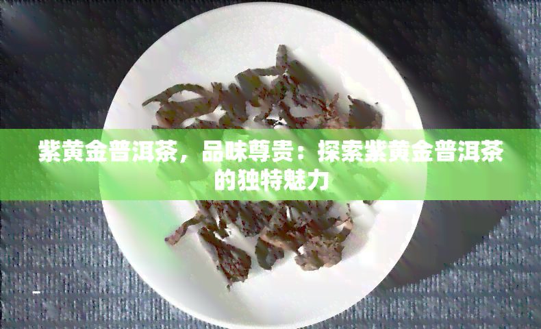 紫黄金普洱茶，品味尊贵：探索紫黄金普洱茶的独特魅力