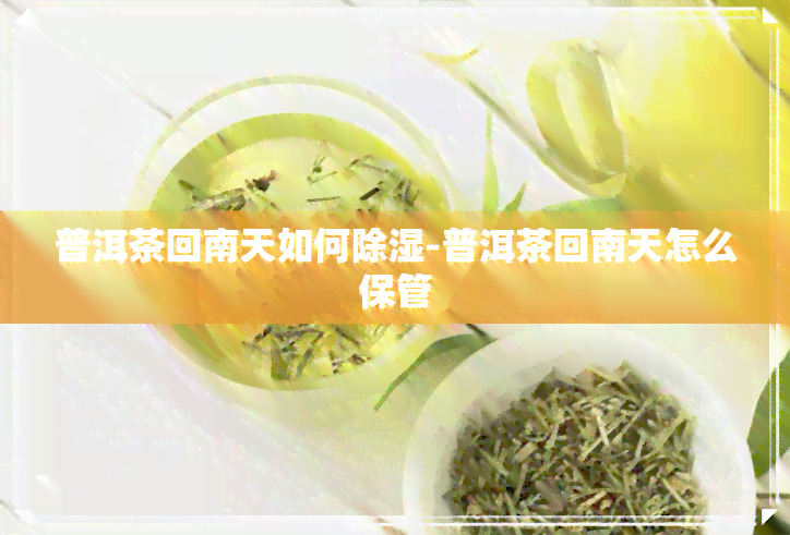 普洱茶回南天如何除湿-普洱茶回南天怎么保管