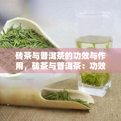 砖茶与普洱茶的功效与作用，砖茶与普洱茶：功效与作用的全面解析