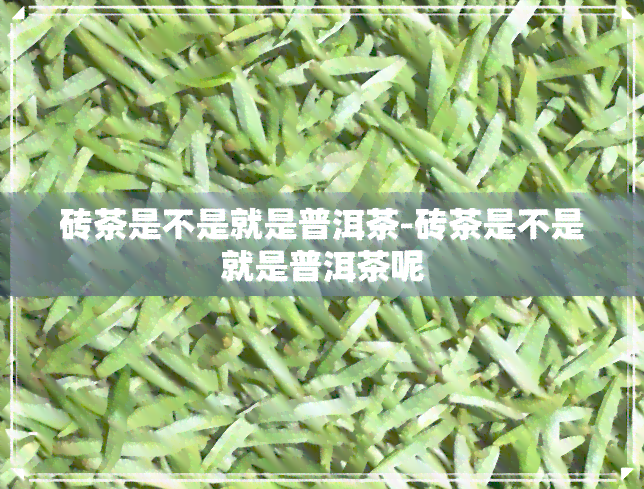 砖茶是不是就是普洱茶-砖茶是不是就是普洱茶呢