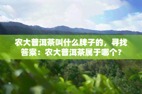 农大普洱茶叫什么牌子的，寻找答案：农大普洱茶属于哪个？