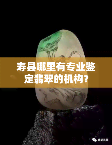 寿县哪里有专业鉴定翡翠的机构？