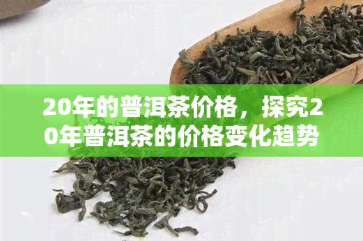 20年的普洱茶价格，探究20年普洱茶的价格变化趋势与收藏价值