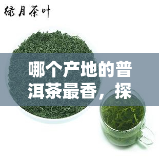 哪个产地的普洱茶最香，探究普洱茶香气之源：哪个产地的普洱茶品质？