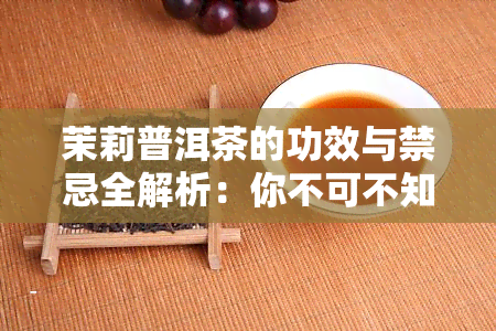 茉莉普洱茶的功效与禁忌全解析：你不可不知的知识点