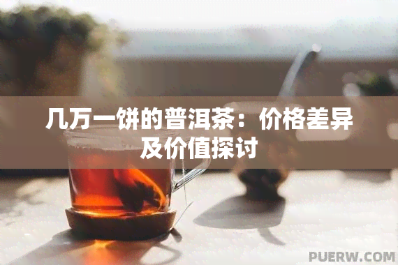 几万一饼的普洱茶：价格差异及价值探讨