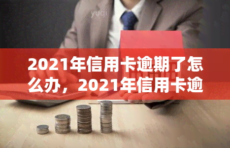 2021年信用卡逾期了怎么办，2021年信用卡逾期处理攻略