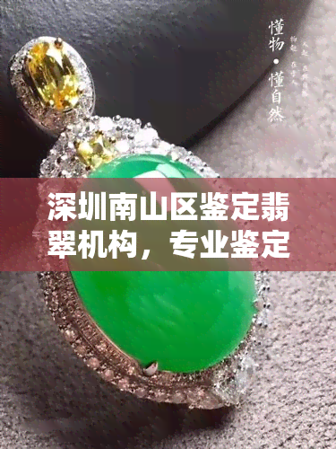 深圳南山区鉴定翡翠机构，专业鉴定翡翠，南山区权威机构等你来！